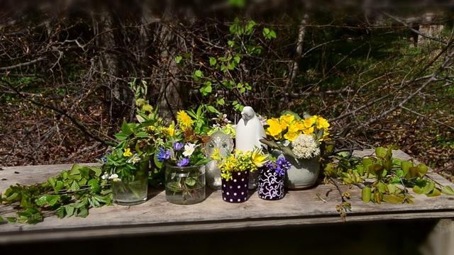 Spring altar laid on weathered wooden bench with at least 16 kinds of flowers and a half dozen kinds of foliage. Flowers are in various improvised vases- coloured votive candle holders, clear glass, earthenware pots etc. Lots of yellow including Marsh Marigold, Dandelions, Draba, Tulip and Corydalis; some blue/violet- Squill, Hepatica and Violet; white- Sweet Coltsfoot, Anemone, Violet and barely pink Cherry. Foliage- leaves and/or buds, catkins of Aspen and Balsam Poplar, Willow, Saskatoon, Dogwood, Honeysuckle etc. In the centre are the bird figurines: a shiny porcelain penguin in featureless white, and a smaller translucent glass owl with feather shapes molded in the glass and light blue eyes. The sun is shining and the ground around is littered with last year's leaves. Behind the altar, a Tilia/Linden spreads its still leafless branches.