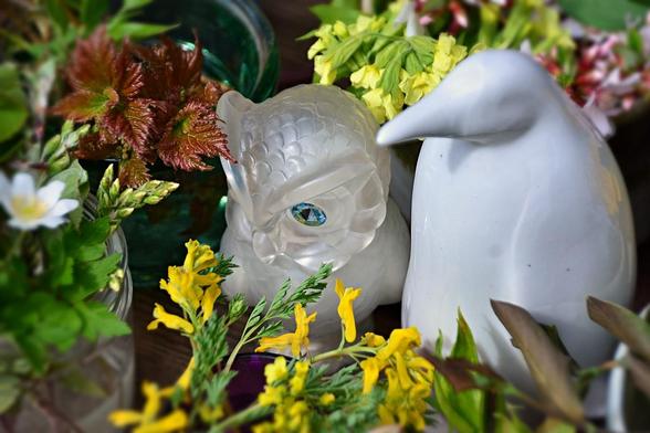 Part of the altar. Pale yellow Oxlip Primrose, deep gold Marsh Marigold and Corydalis, palest pink Nanking Cherry flowers and white Anemone along with several kinds of foliage in shades of green, purple tinged and bronze surround two bird figurines. There is a shiny porcelain penguin in featureless white, and a smaller translucent glass owl with feather shapes molded in the glass and light blue eyes. Mom collected penguin items for years, and Aunt D. collected  owls so these are meant to represent the two sisters, but also to suggest Bird Goddess, one of the most ancient deities and connected to the Baltic/Latvian  Great Mother (Mara or even Ragana! see several of my blog posts for more on that theme, link in bio)