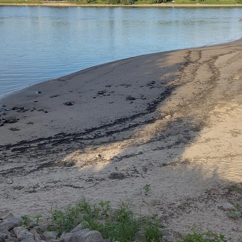 Schattenspiel im Sand, Rhein