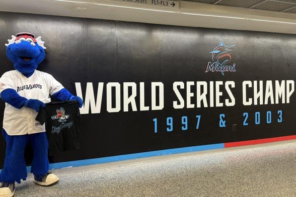The ultimate guide to the Miami Marlins minor league team affiliates - Miami Marlins Guides & Resources