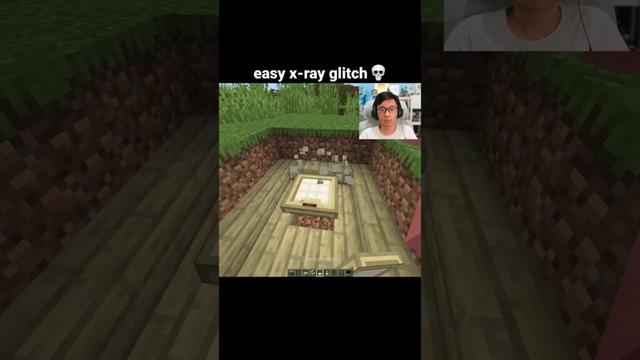 Minecraft X-Ray Glitch Moment