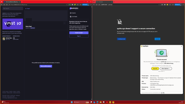 For the #Malvertising...