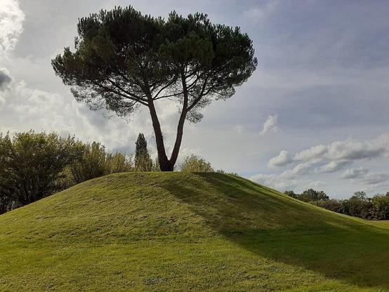 Motte féodale à #Lamazère (#Gers) Il est fréquent, dans le Gers, de voir une église rurale bâtie près d'une motte féodale. Les empatements de mur à l'est et au nord rendent encore visibles les parties romanes d...
Suite 👉 https://monumentum.fr/monument-historique/pa00094823/lamazere-motte-feodale
#Patrimoine #MonumentHistorique
Photo CC-BY-SA 4.0 : DomiSalle