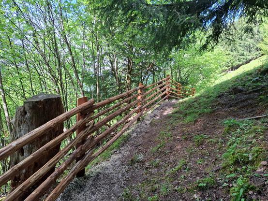 A sloped forest path bordered by a handcrafted wooden fence made of peeled logs and vertical posts. The fence follows the incline, curving gently uphill through dense, leafy woodland. A large tree stump stands beside the path on the left, while conifer branches partially overhang from above. The hillside on the right is covered in moss, grass, and sparse vegetation. Sunlight filters through the canopy, creating a calm and natural woodland atmosphere.
