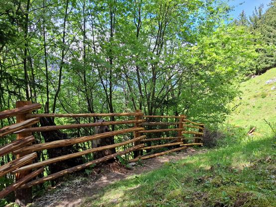 A handcrafted wooden fence made from natural, peeled branches and sturdy vertical posts follows a narrow path along a forested hillside. The fence curves gently through a sun-dappled area, bordered by dense green trees and undergrowth. In the background, the slope rises on the right with patches of grass, moss, and scattered rocks, while the forest continues to the left with tall evergreen and deciduous trees. Sunlight filters through the leaves, highlighting the rustic character of the fence.