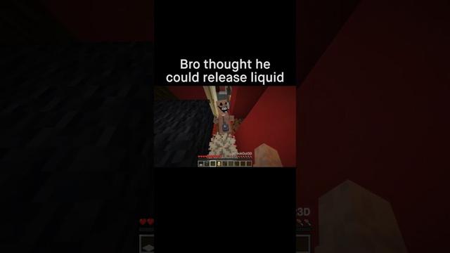 Minecraft Meme