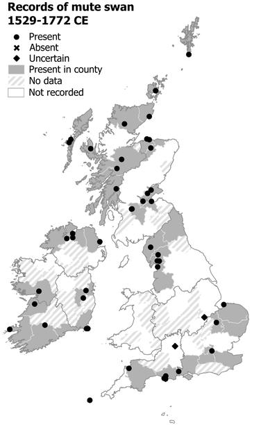 Map showing where mute swans were recorded in reliable historical sources 250-500 years ago (from 1529 - 1772 C.E). There are records from most regions of Britain and Ireland except there are no records from Wales and only an unreliable record from the Midlands of England. There are also records from Scilly, Orkney, Shetland and the inner and outer Hebrides. This may reflect a wide distribution across both Britain and Ireland, with gaps reflecting low recorder-effort.
