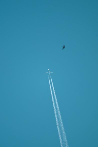 A jet airliner soars high in the sky, leaving behind two long contrails against a clear turquoise-blue background. A small bird appears blurred in the foreground, adding a sense of scale and contrast between the near and the distant.
