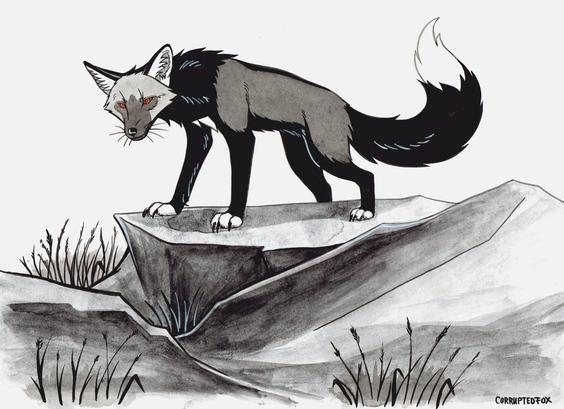 A Silver vixen standing on a stone and looking at the viewer menacingly. Drawn with ink.