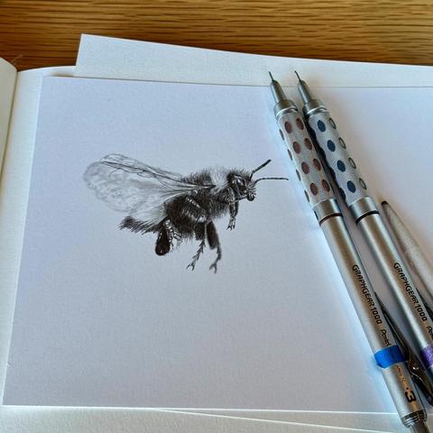 A start of a bumble bee being drawn in flight with two mechanical pencils off to the side as well as a blender.