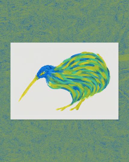 Illustration aperçu du kiwi, animal,