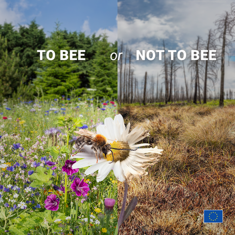 Split-image with the text “TO BEE or NOT TO BEE.” The left side shows a vibrant wildflower meadow with a bee on a daisy, symbolising biodiversity and a healthy ecosystem. The right side shows a dry, barren landscape with dead trees and no visible wildlife, representing environmental degradation. An EU flag appears in the bottom right corner.