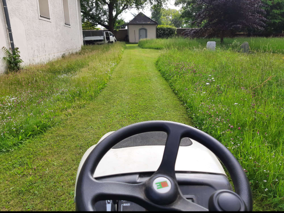 POV-Ansicht vom Rasentraktor. Davor frisch gemäht, links und rechts daneben Blumenwiese.