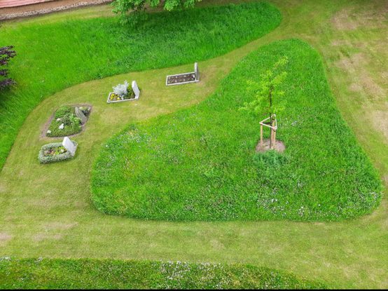 Blumenwiese von oben. Dazwischen gemähter Rasen mit vereinzelten Gräbern.