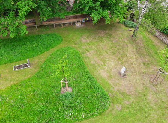 Blumenwiese von oben. Dazwischen gemähter Rasen mit vereinzelten Gräbern.