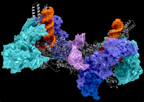 It's a picture of a protein molecule. It's a bunch of shapeless globs of different colors glommed together, with occasional spirals sticking out in random directions.