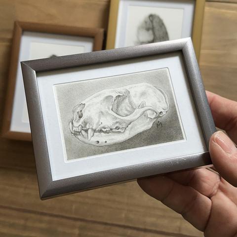 Mink Skull in Silver