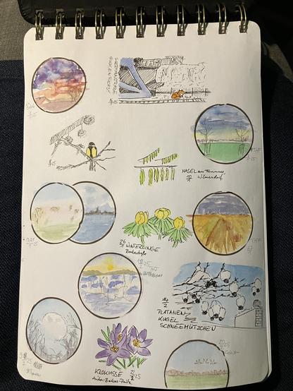 Skizzenbuch - einige reduzierte Farbstudien, erste Frühblüher, tierische Begegnungen. Jan-Feb2025.