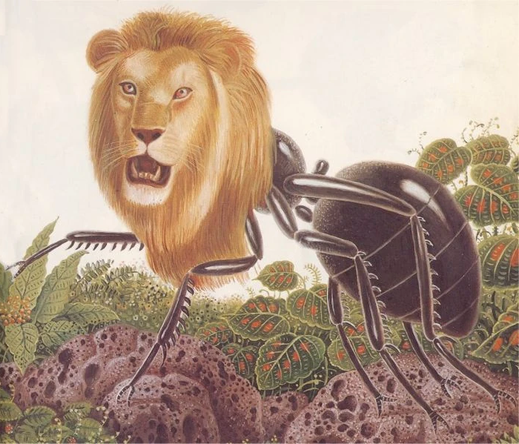An image of the poor myrmecoleon or "ant-lion."