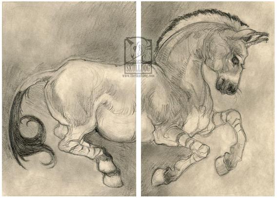 Pencil drawing of a wild ass mid jump, with head slightly lowered with a smile.