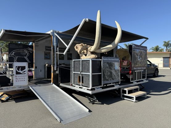 Mobile Museum trailer set up, with a mastodon skull prominently displayed.