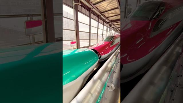 Kiss and Part — A Rare Shinkansen Moment! #train #shortvideo #japan #travel #destination #shorts