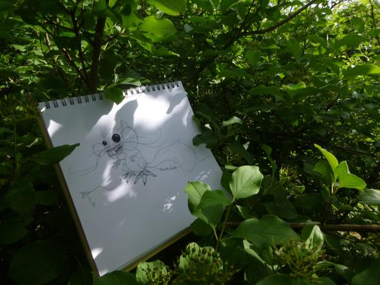 More shots of the same drawing. A rodent with an eyecatching....stare.