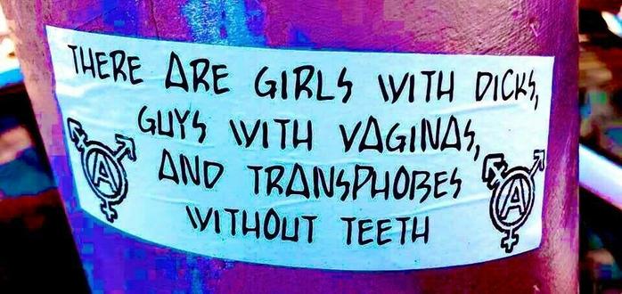 A sticker on a blue-purple painted pillar. On a white background, it reads in black letters:
There Are Girls With Dicks, Guys With Vaginas and Transphobes Without Teeth 

On the Left and right  side is an Queeranarchismus label.