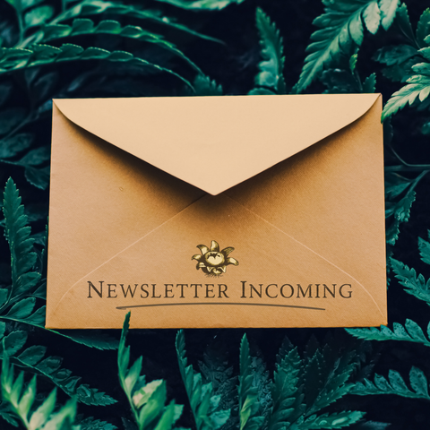 A brown envelope on a background of dark green ferns. The text on the envelope reads "Newsletter Incoming."