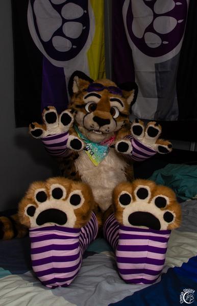 Fursuit photo of Obscura sitting on a bed with footpaws and handpaws out towards the camera. They are wearing two tone stripey stockings and arm warmers