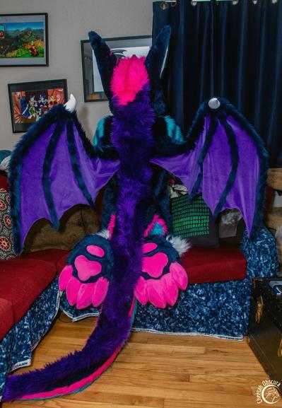 Fursuit photo back view of Rezz kneeling on a sofa showing off their footpaws and wings