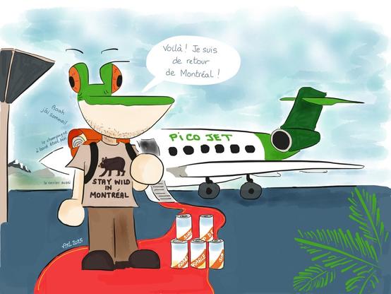 Pico sur le tarmac de Nice Côte d'Azur, avec des boîtes de conserve de sirop d'érable, un t shirt avec un ours et son jet privé.
Pico a l'air fatigué.