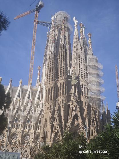 20 Mayo de 2025
Sagrada Família _ Barcelona
📷 María del Pilar Menoyo Díaz