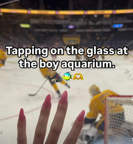 nails on the glass of an ice hockey game with the caption "Tapping on the glass at the boy aquarium."