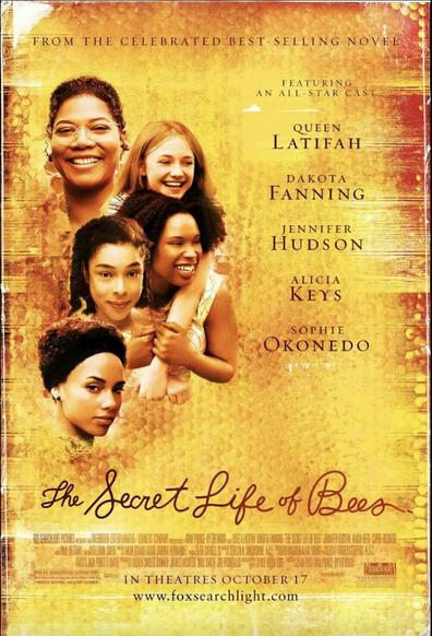 The poster for the secret life of bees has a vingette of each main character played by Queen Latifah, Dakota Fanning, Jennifer Husdon, Alicia Keys, and Sophie Okonedo