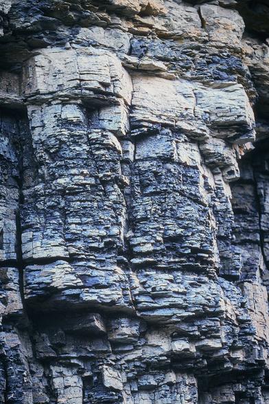 A close-up of a rugged rock face, showcasing layers of textured, weathered stone in shades of gray and beige.