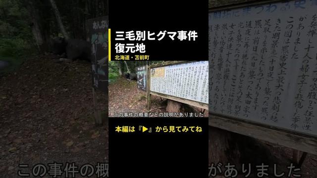 デッカイ熊が出たんだぞ！悲惨な事件の復元地！【北海道苫前町・三毛別羆事件復元地】メイン動画の切り抜き #どさんこ #日本一周 #どさんこ #三毛別羆事件 #羆 #熊