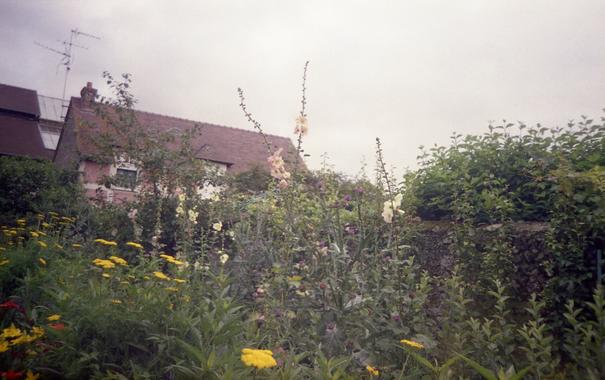 A French country house behind an array of flowers