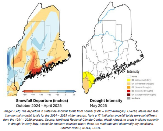 Two maps of the state of Maine.

One shows a lot of red and orange, with very little blue. The red indicates places where there was an extreme lack of snow, while blue indicates places there was some snow.

Snowfall Departure (inches)
October 2024 - April 2025 

The other map shows the southern part of the state in yellow and peach color, indicating "Abnormally Dry" (yellow) or "Moderate Drought" (peach).

Drought Intensity 
May 2025 

Image: (Left) The departure in statewide snowfall totals from normal (1991 — 2020 averages). Overall, Maine had less than normal snowfall totals for the 2024 — 2025 winter season. Note a 0" indcates snowall totals were not different from the 1991 — 2020 average. Source: Northeast Regional Climate Center; (right) Almost no areas in Maine currently in drought in early May, except for southern counties where there are moderate and abnormally dry conditions. Source: NDMC, NOAA, USDA.