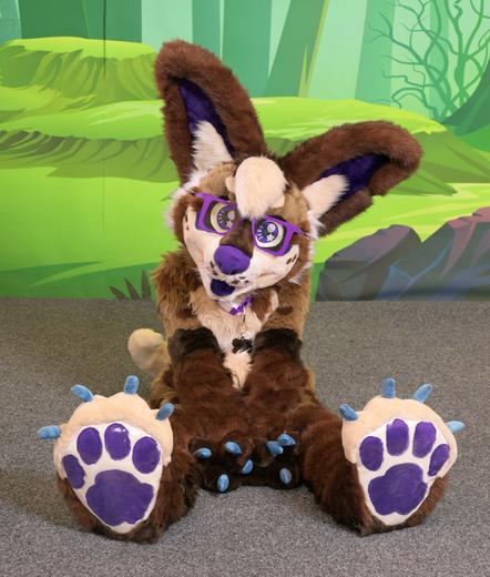 Jordan the chihuahua sitting down in front of a photo backdrop showing off her paw beans