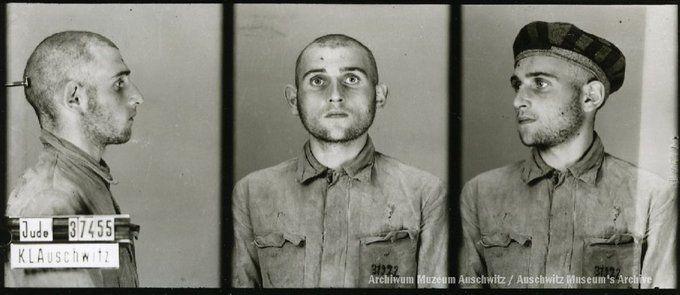 A mugshot registration photograph from Auschwitz. A man with a shaved head wearing a striped uniform photographed in three positions (profile and front with bare head and a photo with a slightly turned head with a hat on). The prisoner number is visible on a marking board on the left.