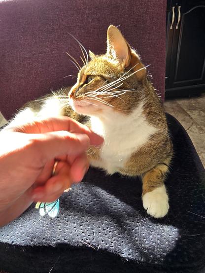 I couldn't resist rubbing her little milk neck