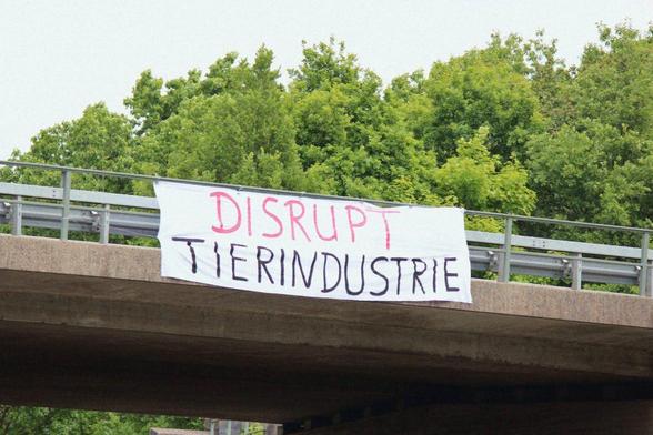 Foto: an einer Brücke hängt ein Transpi mit der Aufschrift "Disrupt Tierindustrie"