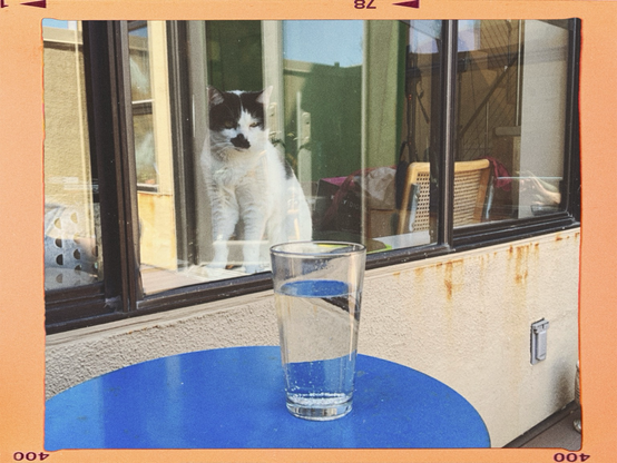 Cat looking out a window with reflections there is a glass of sparkling water on a blue table in the foreground.