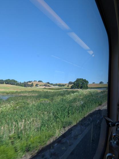 a view out the window of a train. in the foreground are some verdant wetland plants, with ponds in behind them. the background are yellow-green hills with some assorted buildings at the base of a hill