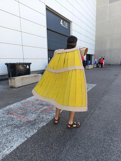 Mon costume, de dos. Je suis assez fier, de l'effet 3D de la cape (entièrement en carton, à part la colle chaude et la peinture jaune)
