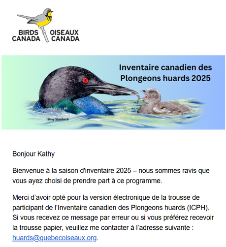A lovely summery illustration by Shay Stenback showing a downy loon chick being fed by its parents.  Text includes the Birds Canada Logo, Inventaire canadiens des Plongeons huards 2025 and the start of the volunteer letter.
