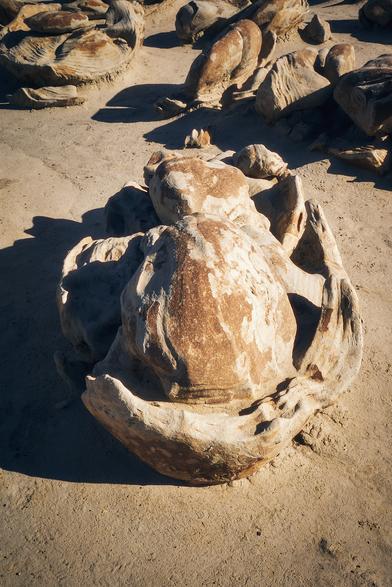 A sunlit, weathered rock formation on a sandy surface, featuring smooth, rounded shapes and earthy tones.