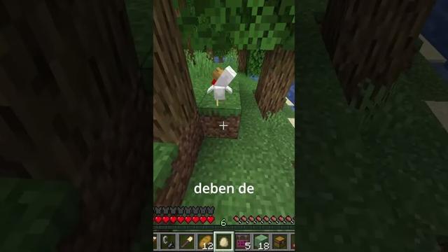 UN RETO ES UN RETO JEJEJEJE #minecraft #gameplay #timing #fyp