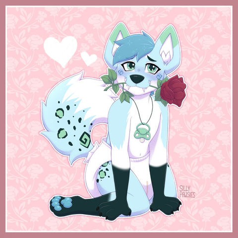 puppy in a diaper with a rose in their mouth